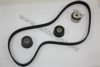 AUTOMEGA 1016060305 Timing Belt Kit